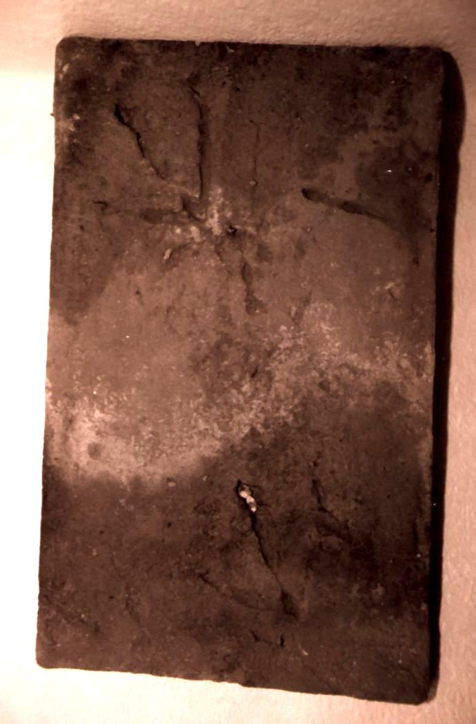 art oiseau.JPG (65751 octets)